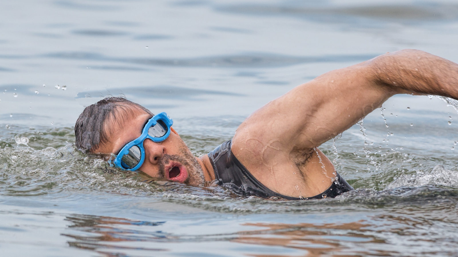 Freestyle-Swimmer | IronmanHacks