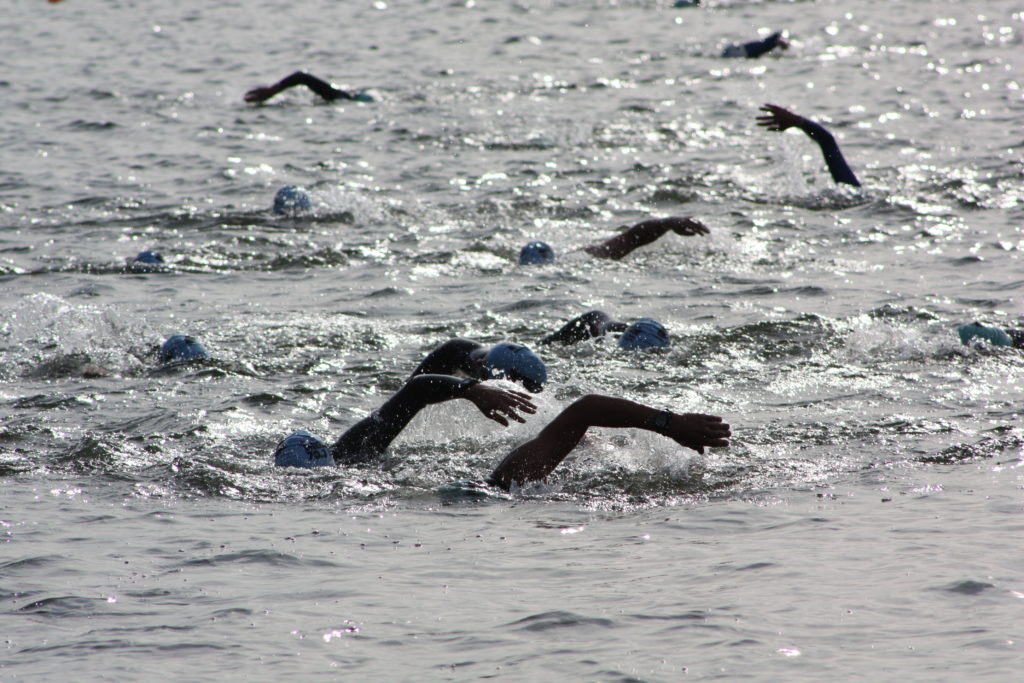 Swimmers in a race